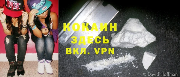 крисы Алзамай