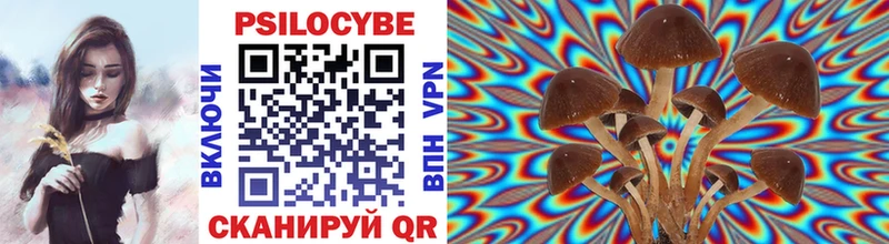 Галлюциногенные грибы мухоморы купить наркотик Перевоз