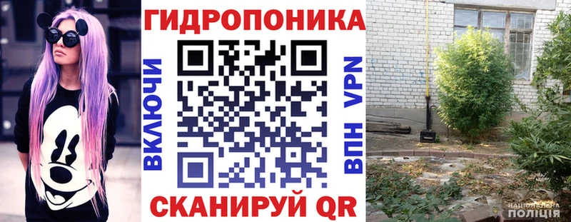 blacksprut вход  Перевоз  Канабис план 